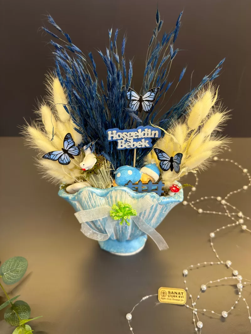 İstiridye İçerisinde Yenidoğan Erkek Bebek