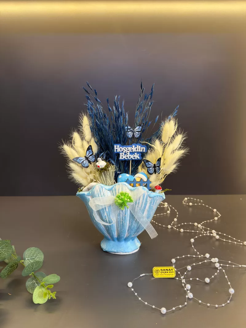 İstiridye İçerisinde Yenidoğan Erkek Bebek