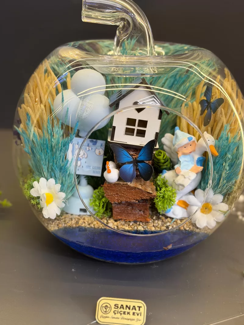 Elma Cam Fanusta Erkek Bebek Teraryum