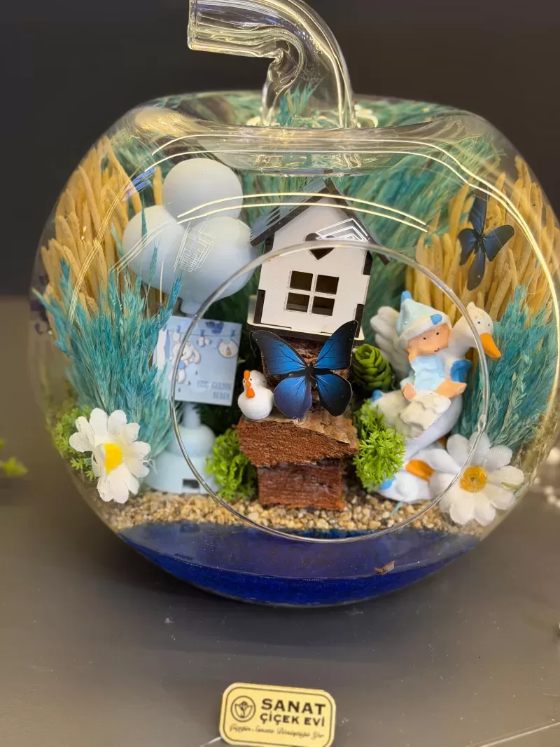 Elma Cam Fanusta Erkek Bebek Teraryum