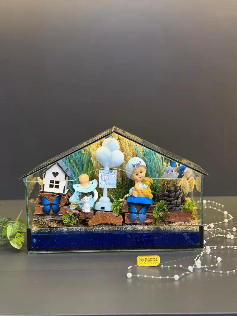 Cam Ev Erkek Bebek Teraryum