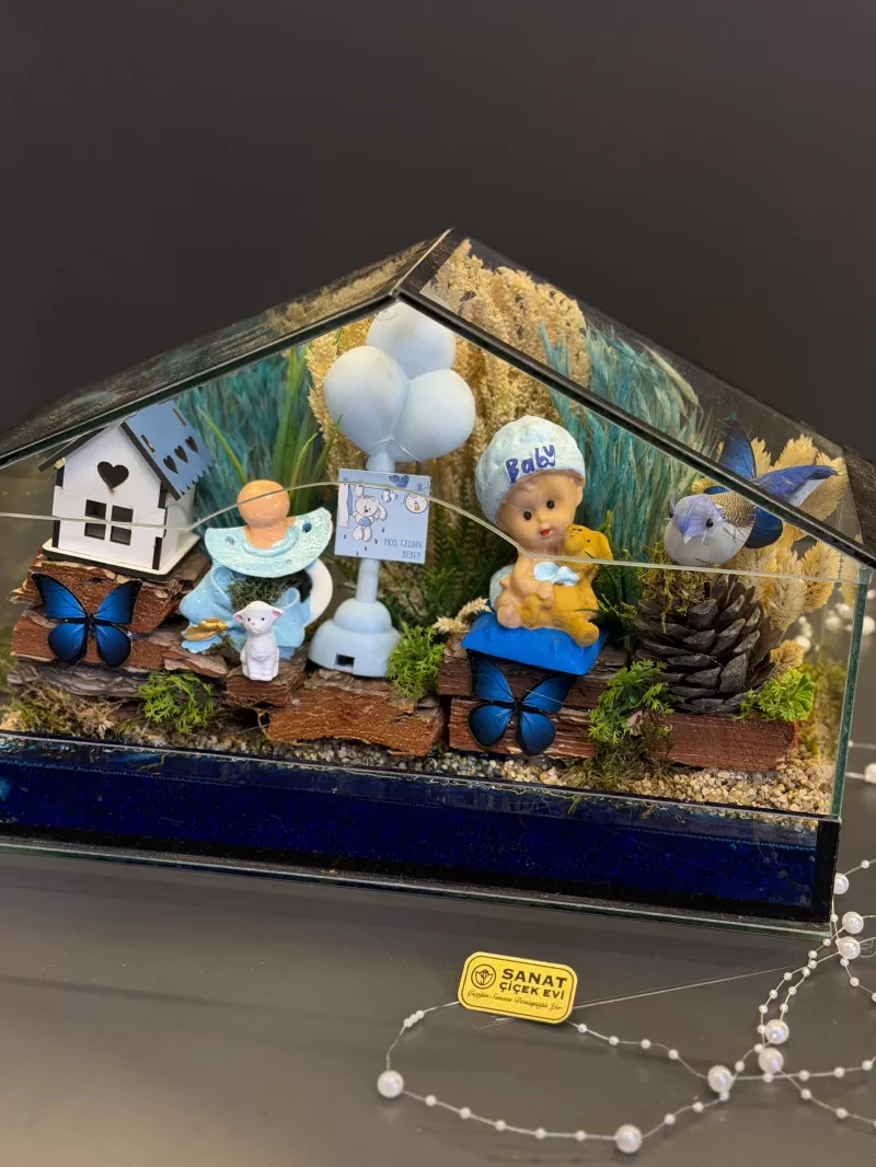 Cam Ev Erkek Bebek Teraryum