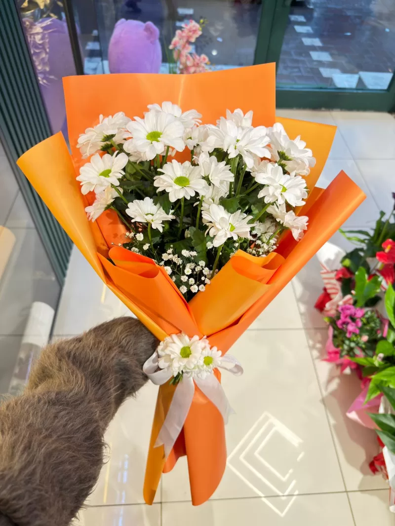 Gebze Beyaz Papatya Buketi