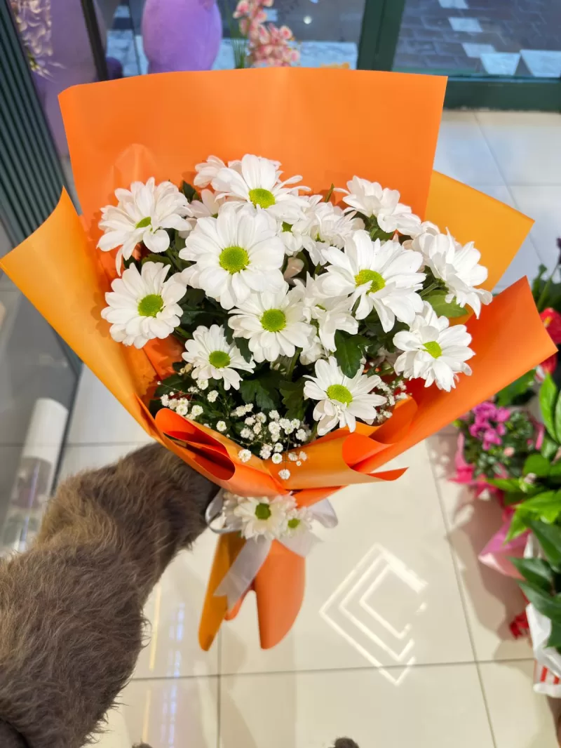 Beyaz Papatya Buketi