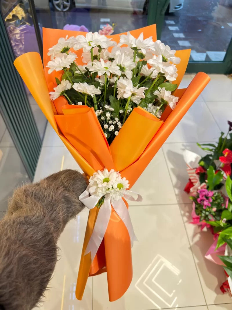 Beyaz Papatya Buketi