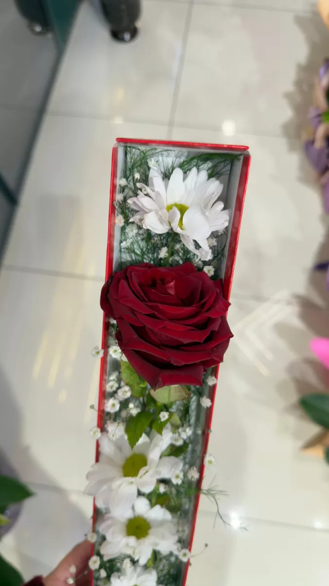 Kutuda Papatya Ve Gül Aranjmanı