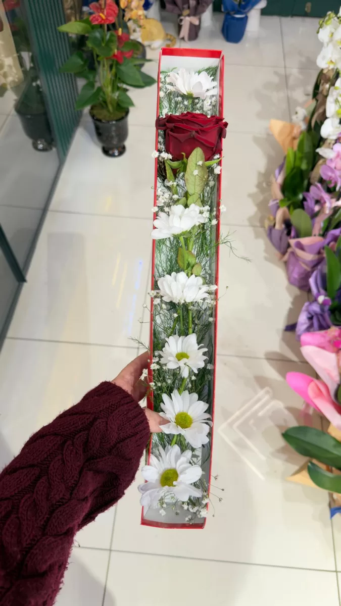 Kutuda Papatya Ve Gül Aranjmanı