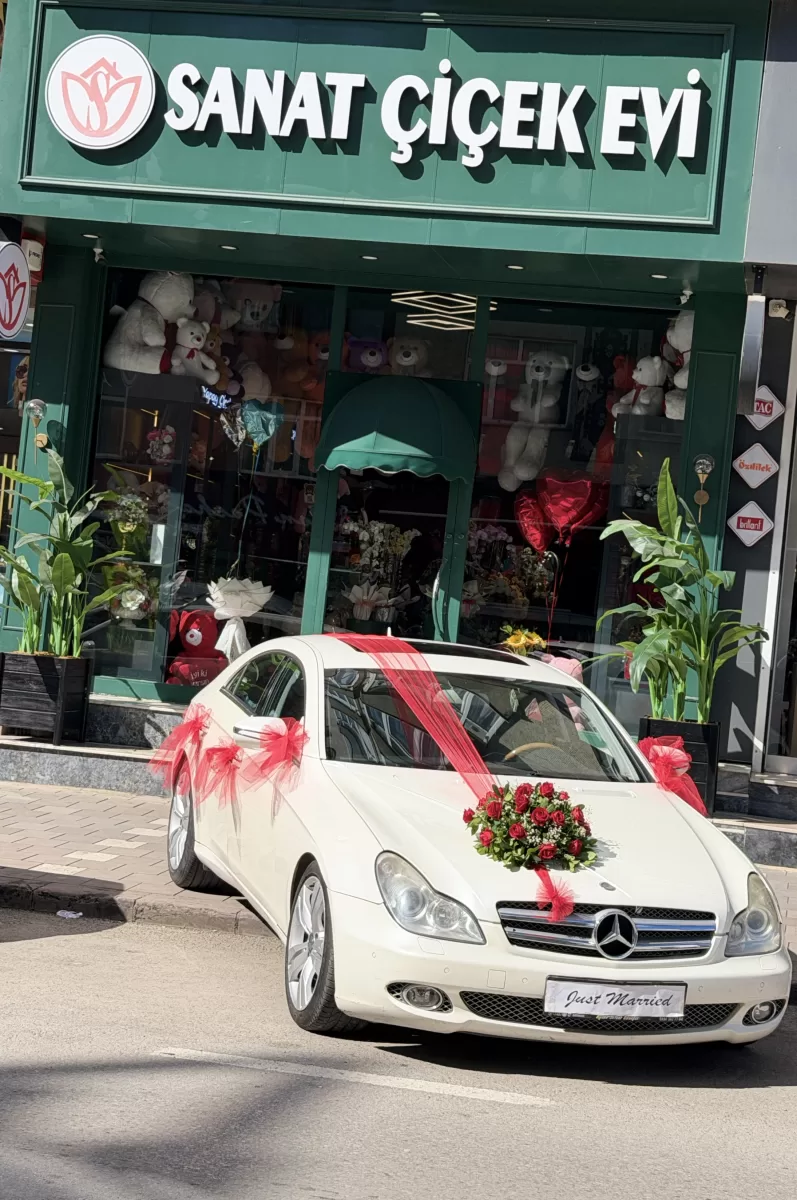 Standart Araç Süslemesi