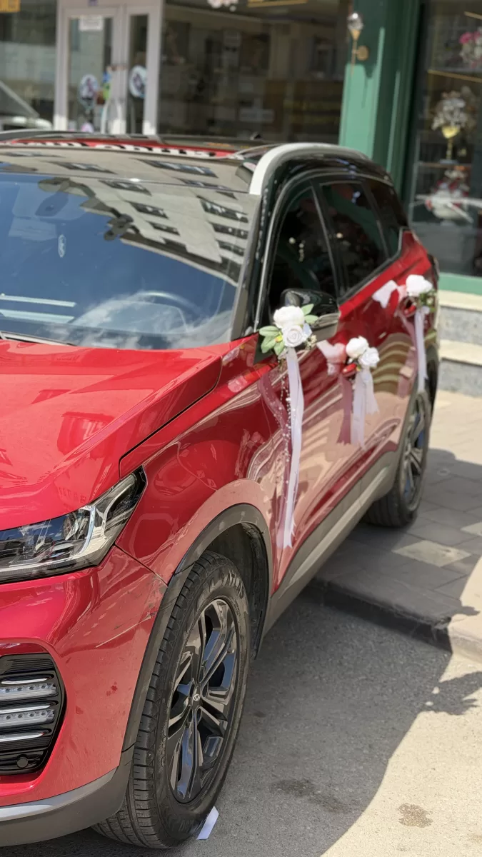 Yeni Nesil Araç Süsleme