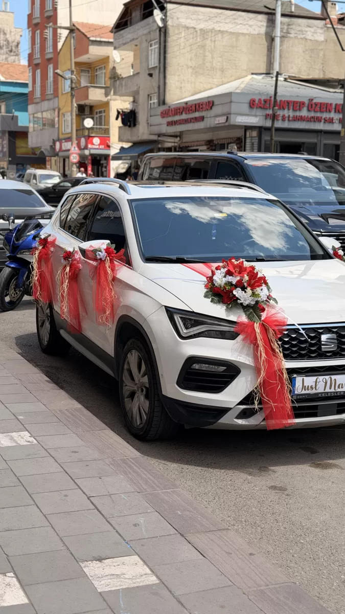Kırmızı Beyaz Suv Süsleme
