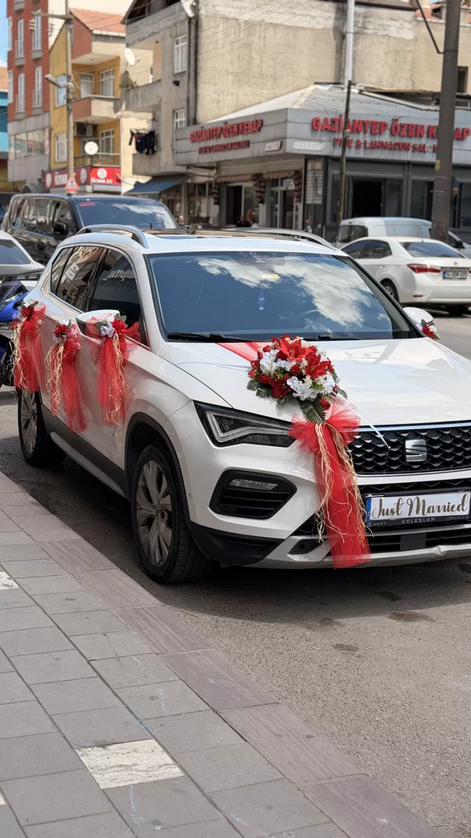 Kırmızı Beyaz Suv Süsleme
