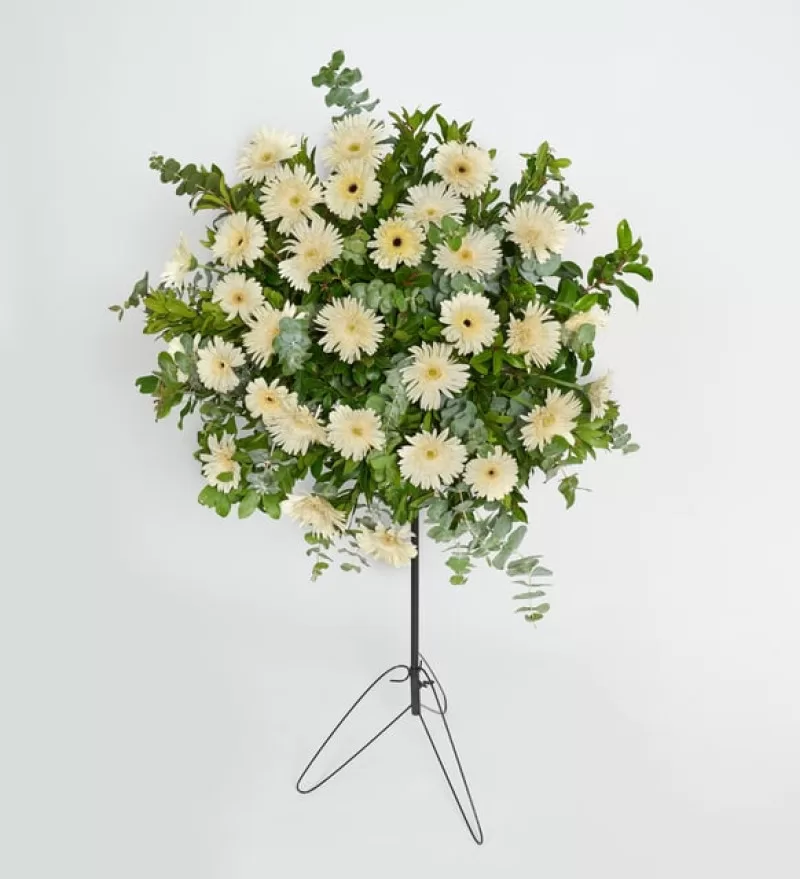 Beyaz Gerberalar İle Hazırlanmış Ferforje Aranjmanı