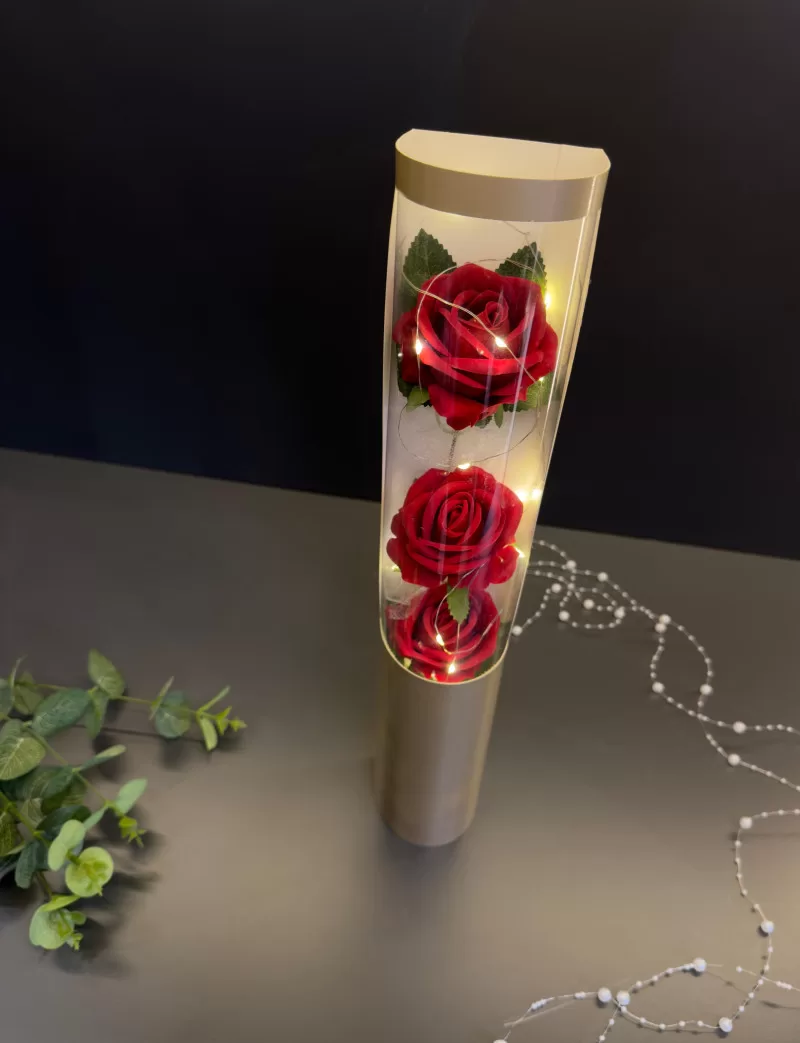 Işıklı Kutuda Kadife Güller