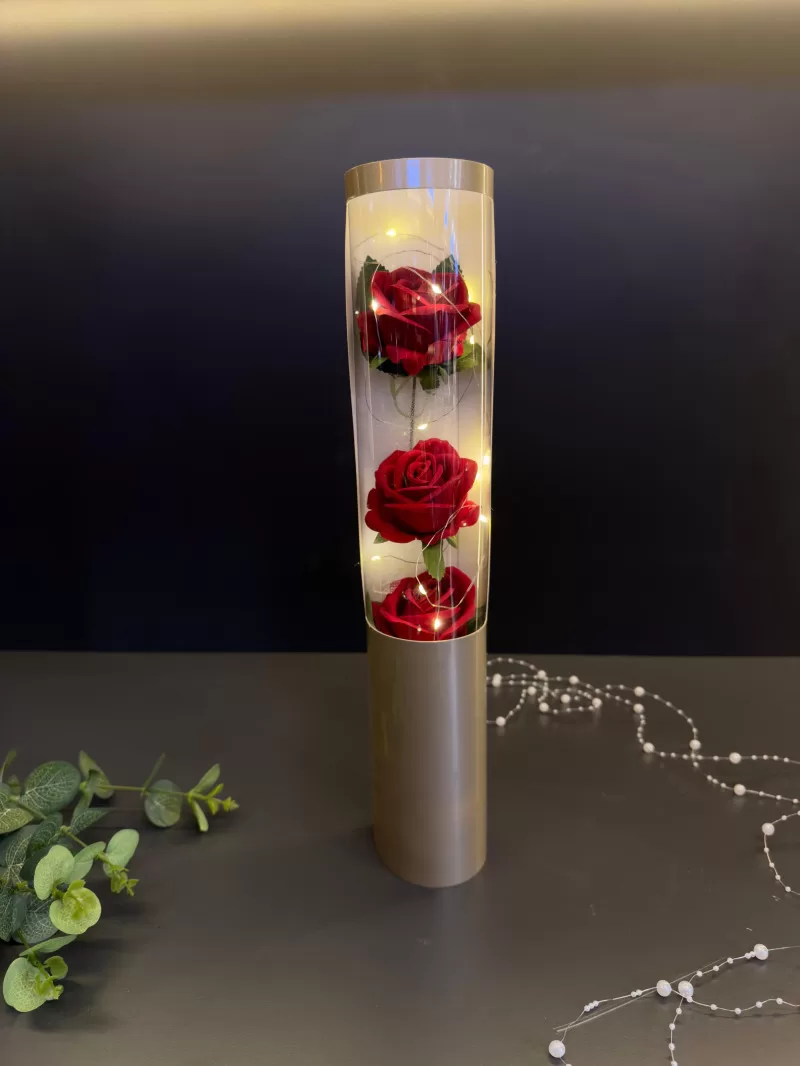 Işıklı Kutuda Kadife Güller
