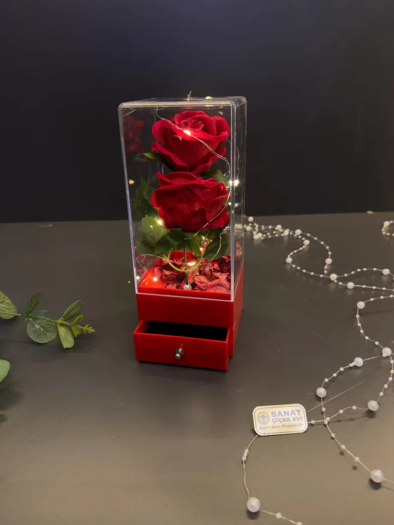 Işıklı Kutuda Kadife Gül