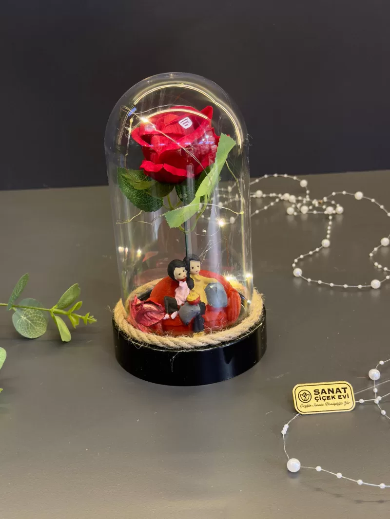 Işıklı Fanusta Kırmızı Kadife Gül