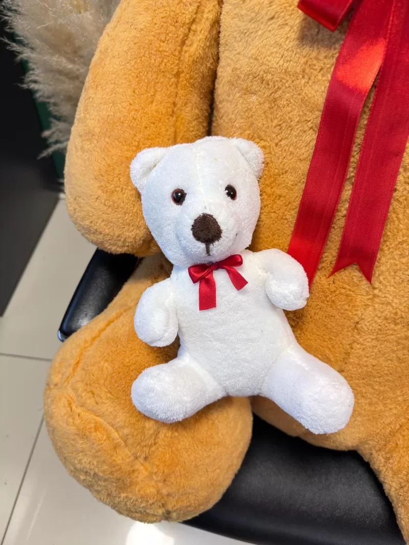 100cm Yavrulu Kahverengi Peluş Ayıcık