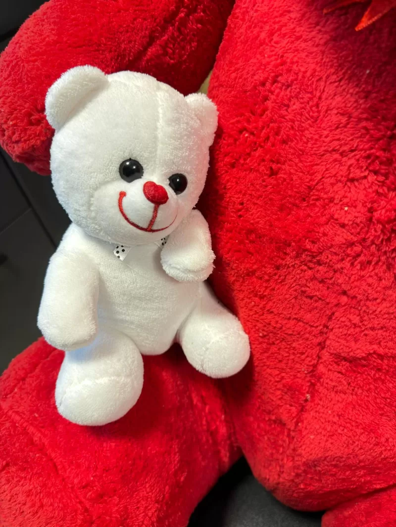 100cm Yavrulu Kırmızı Peluş Ayıcık