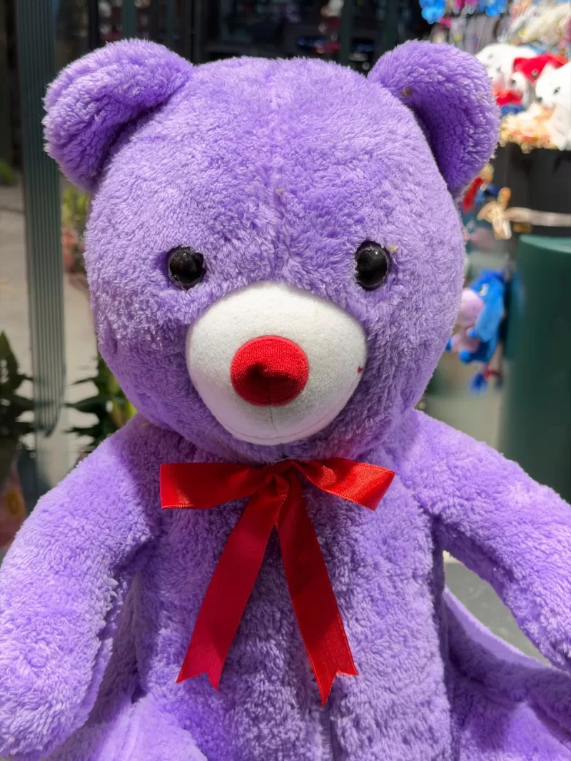 55 Cm Lila Peluş Ayıcık