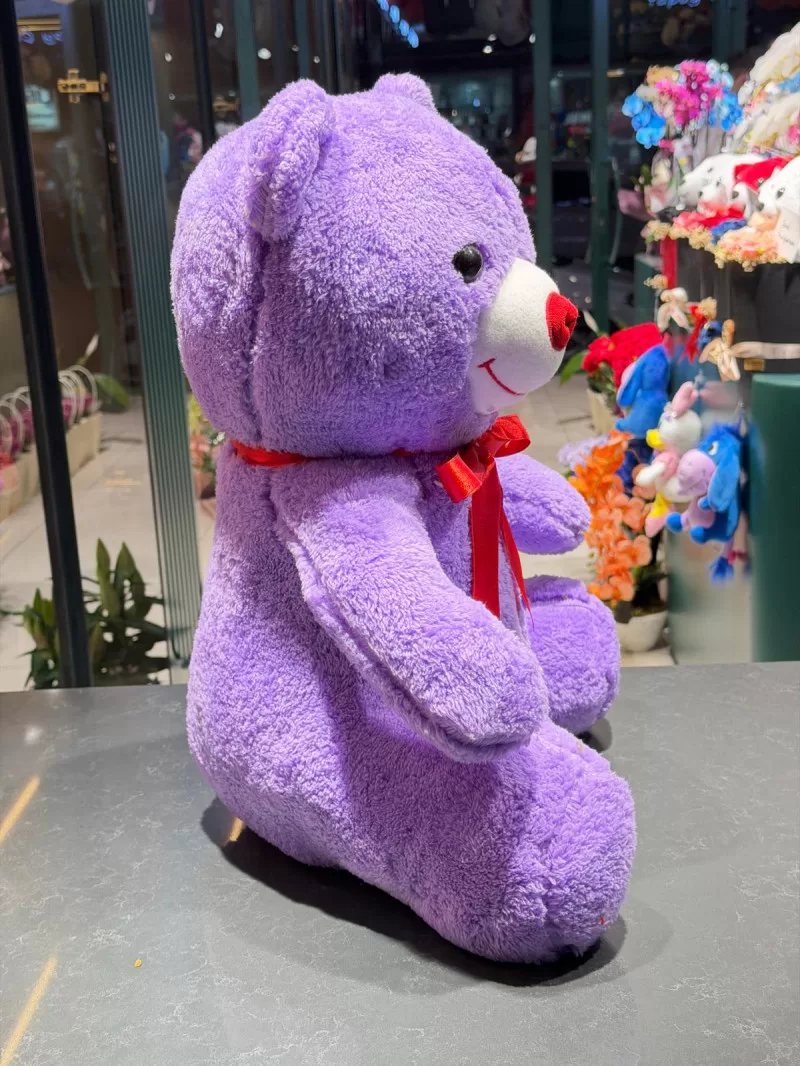 55 Cm Lila Peluş Ayıcık