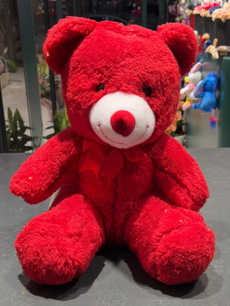 35 cm Kırmızı Peluş Ayıcık