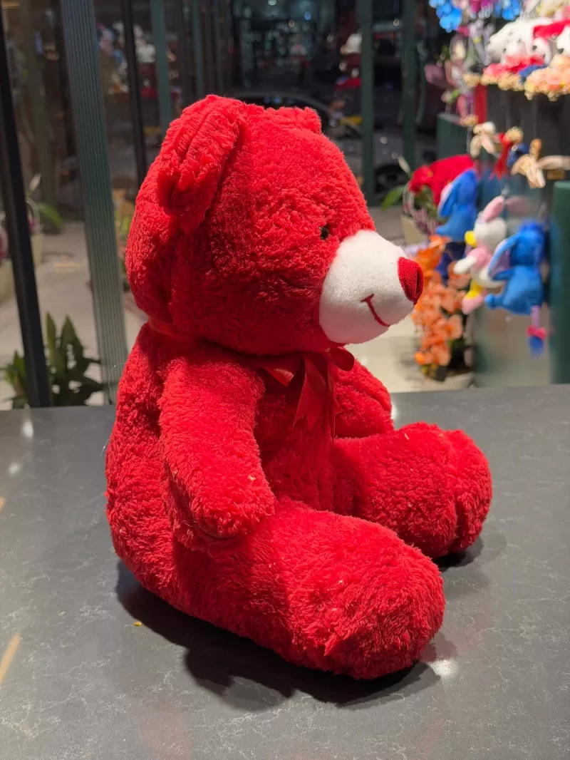 35 cm Kırmızı Peluş Ayıcık