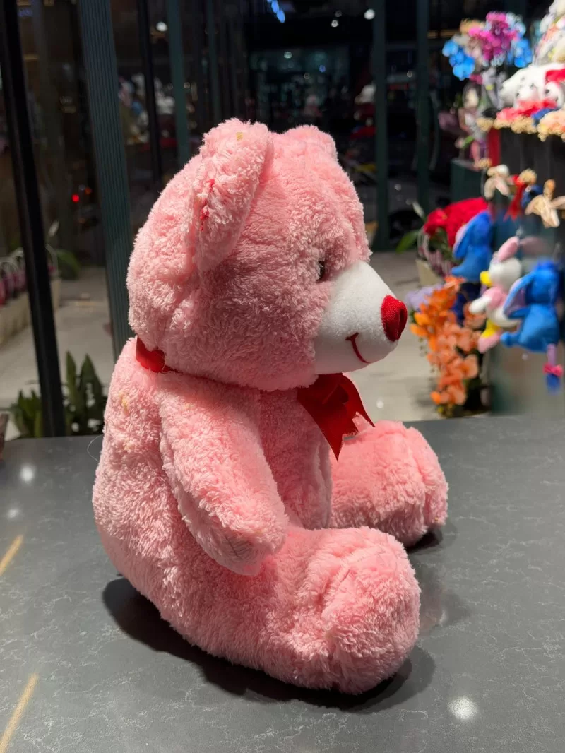 35 cm Pembe Peluş Ayıcık