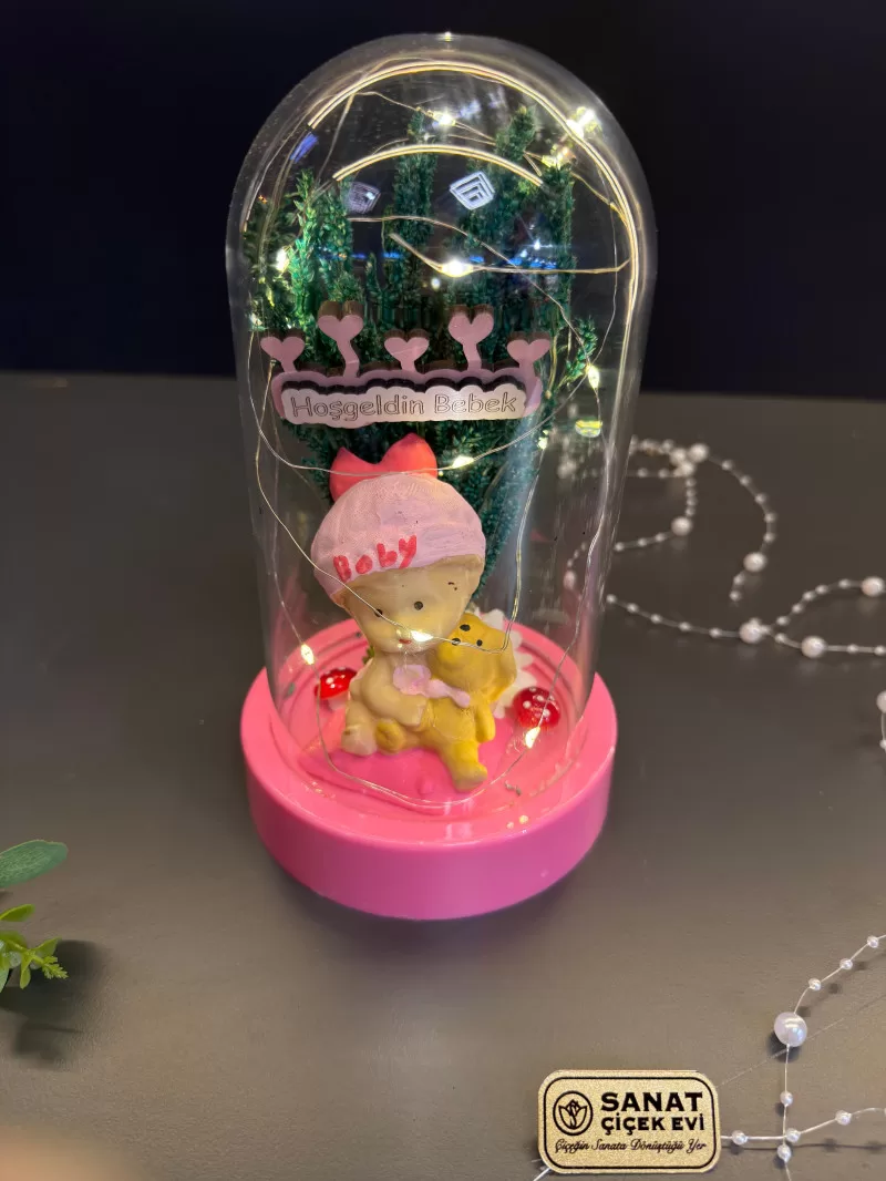 Işıklı Fanusta Kız Bebek Teraryum