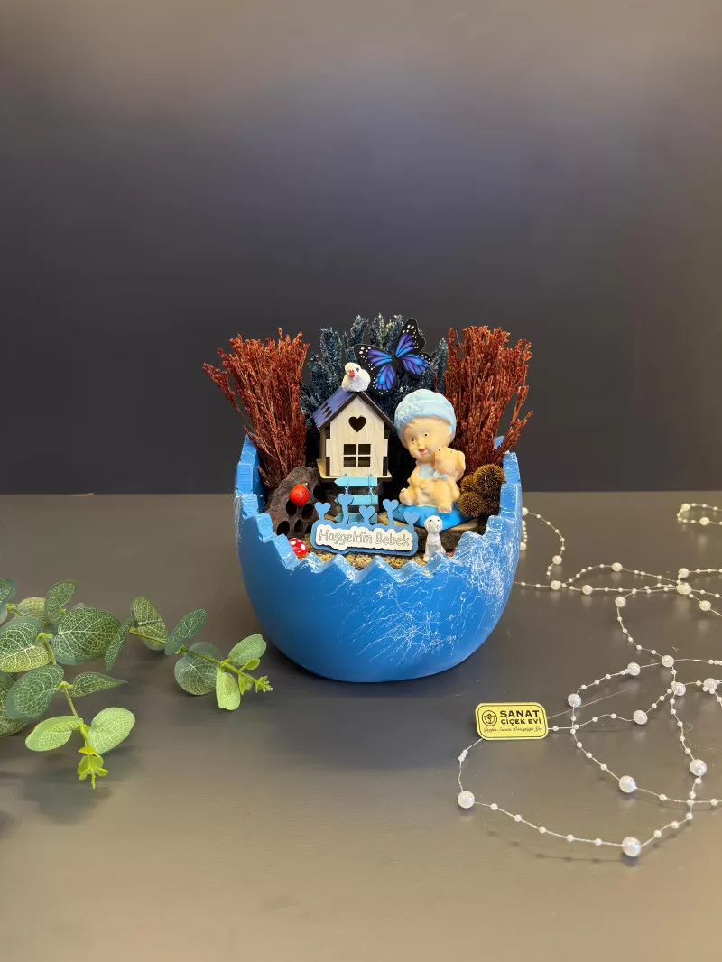 Kırık Yumurta Vazoda Erkek Bebek teraryum