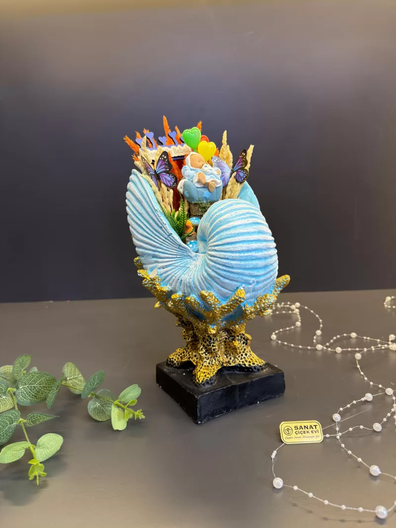 Salyangoz Vazoda Erkek Bebek Teraryum