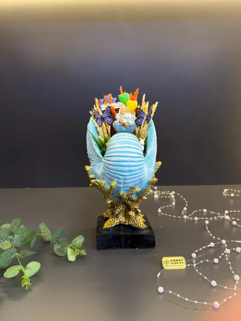 Salyangoz Vazoda Erkek Bebek Teraryum