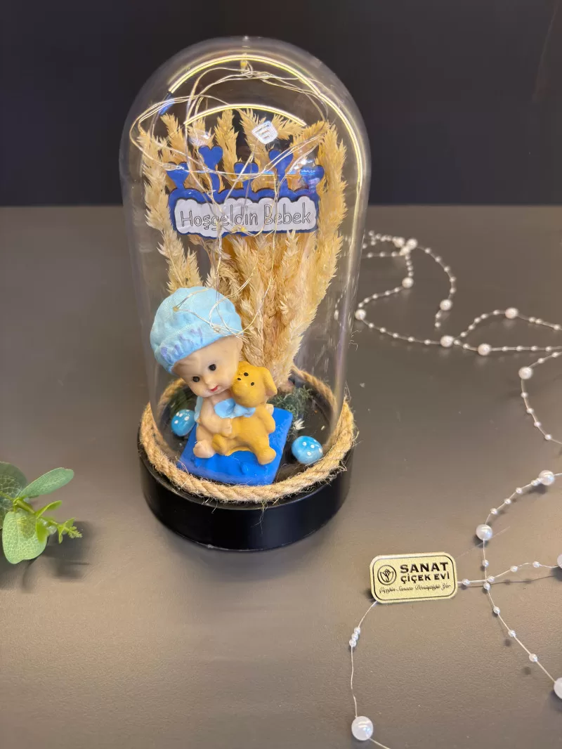 Işıklı Fanusta Erkek Bebek Teraryum