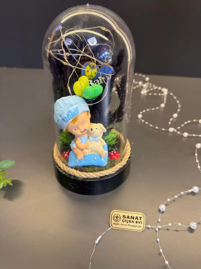 Işıklı Fanusta Erkek Bebek Teraryum