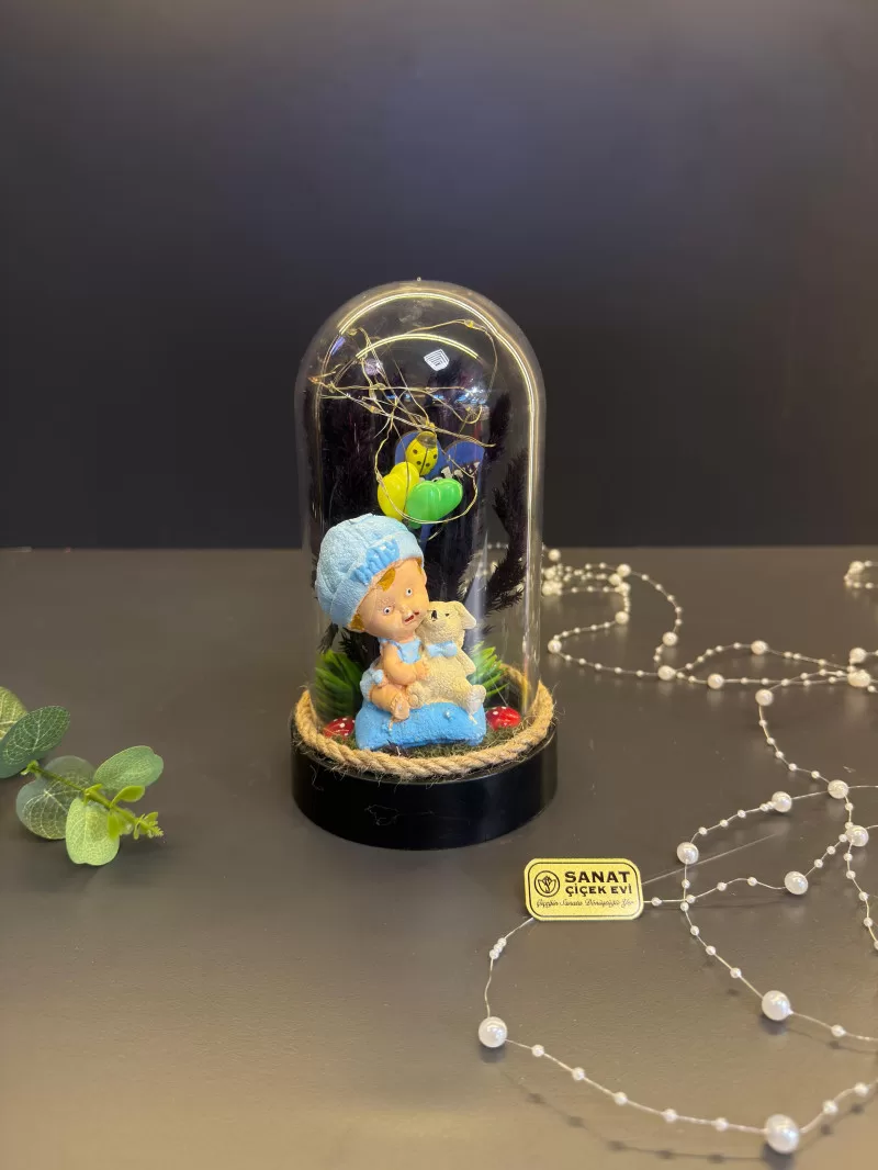 Işıklı Fanusta Erkek Bebek Teraryum