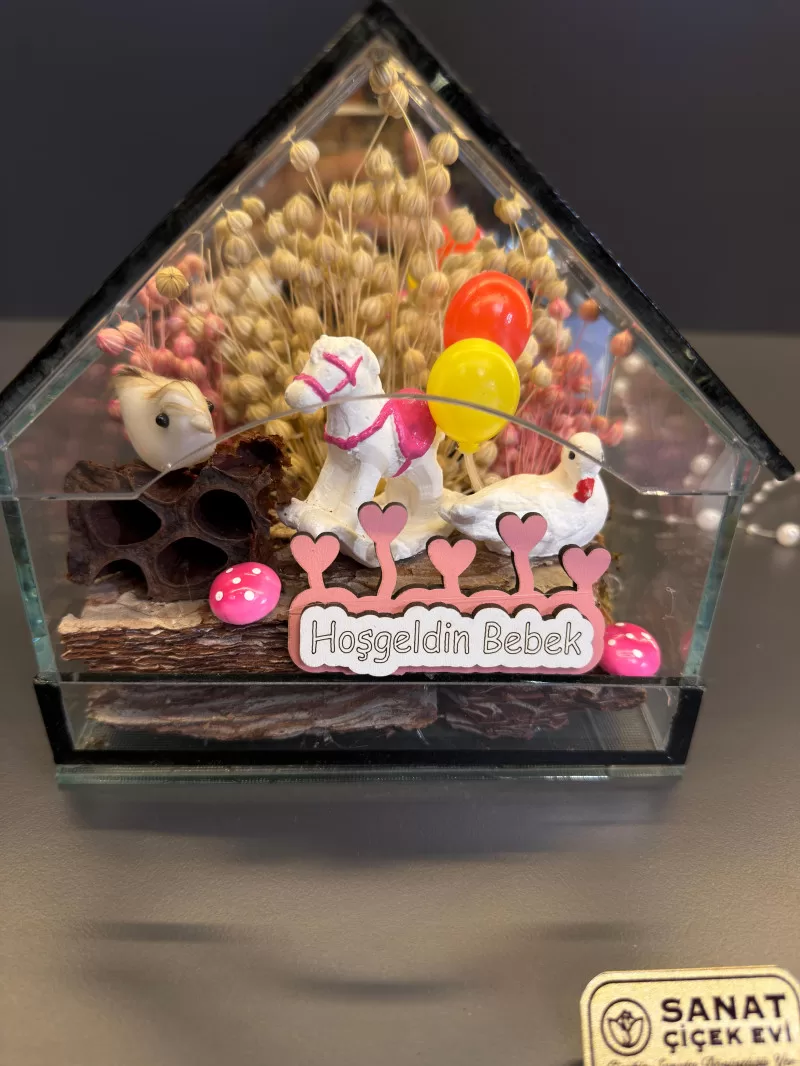 Cam Ev İçerisinde Mini Bahçe Kız Bebek