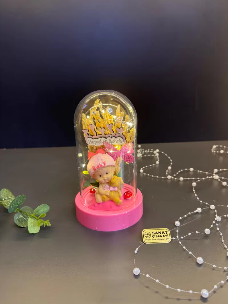 Işıklı FAnusta Kız Bebek Teraryum