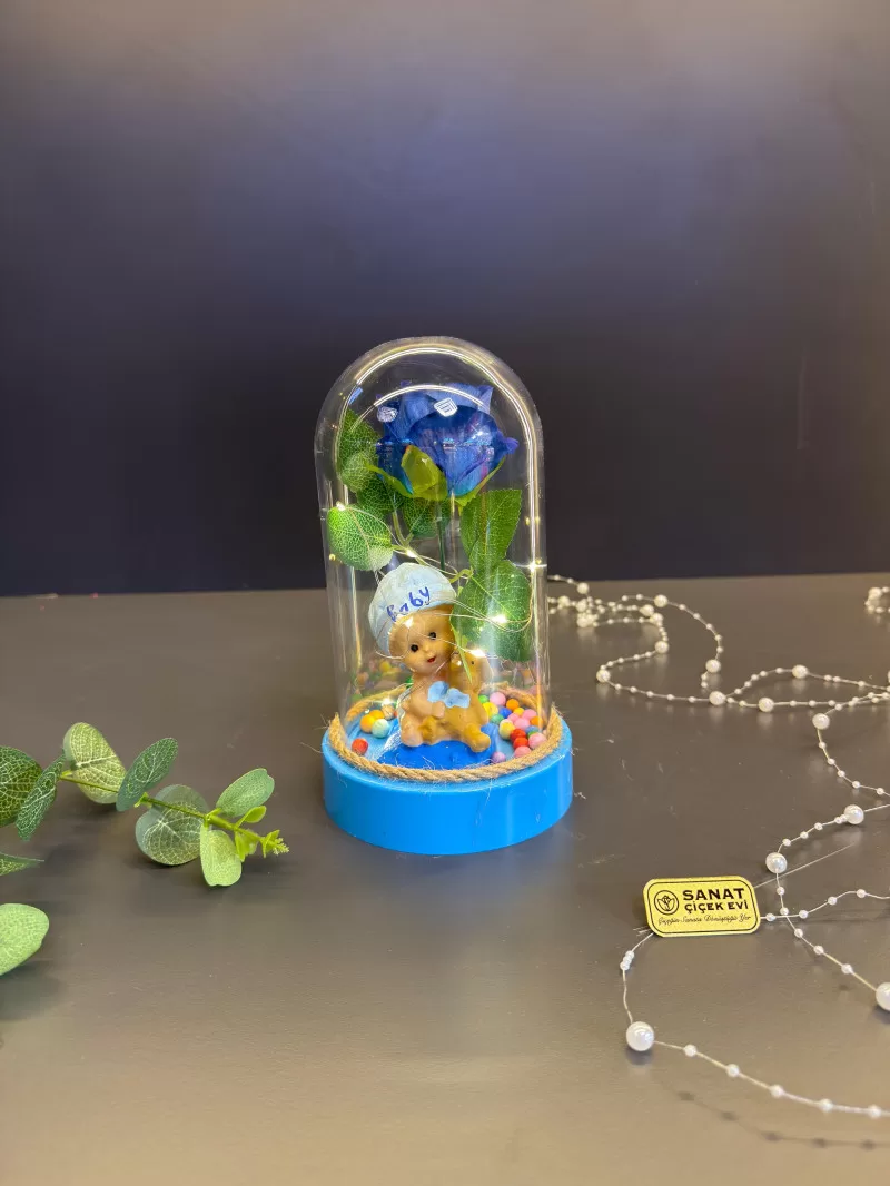 Işıklı Fanusta Erkek Bebek Teraryum
