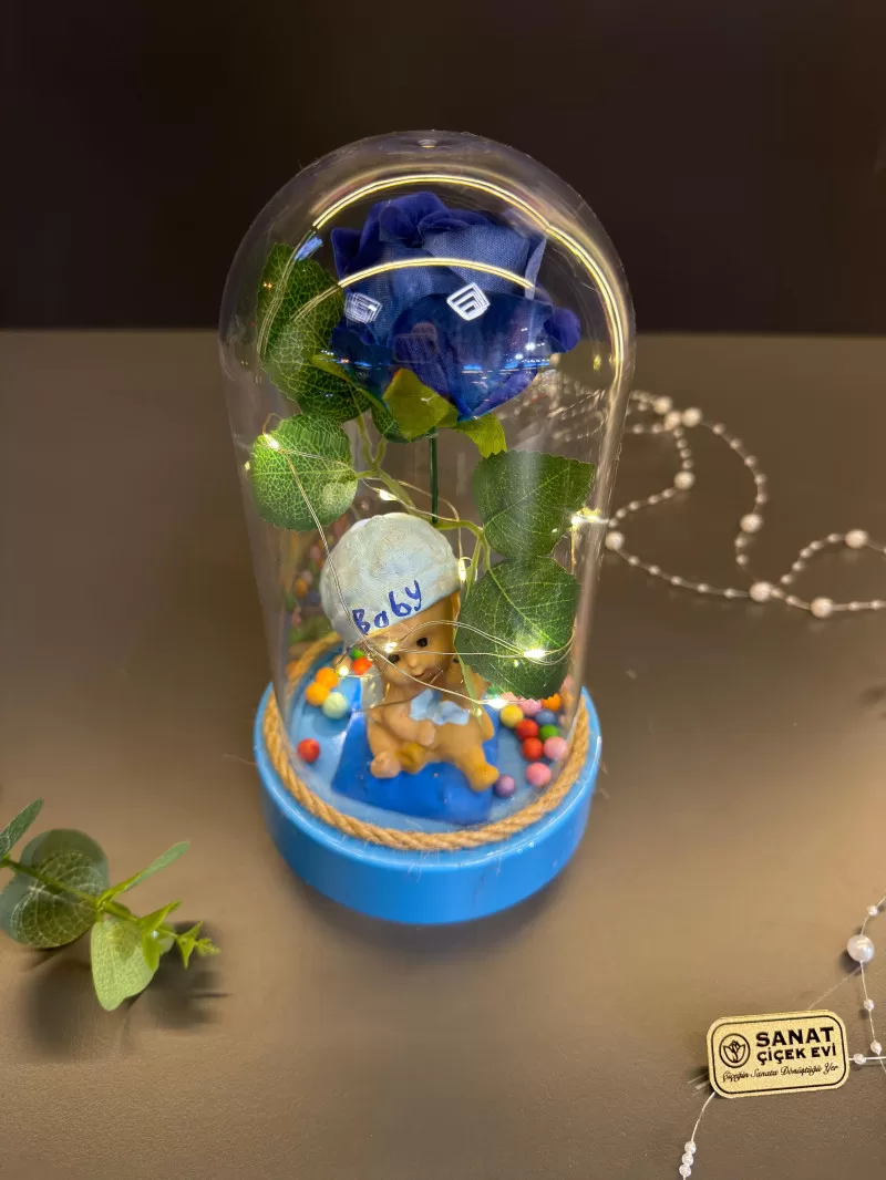 Işıklı Fanusta Erkek Bebek Teraryum