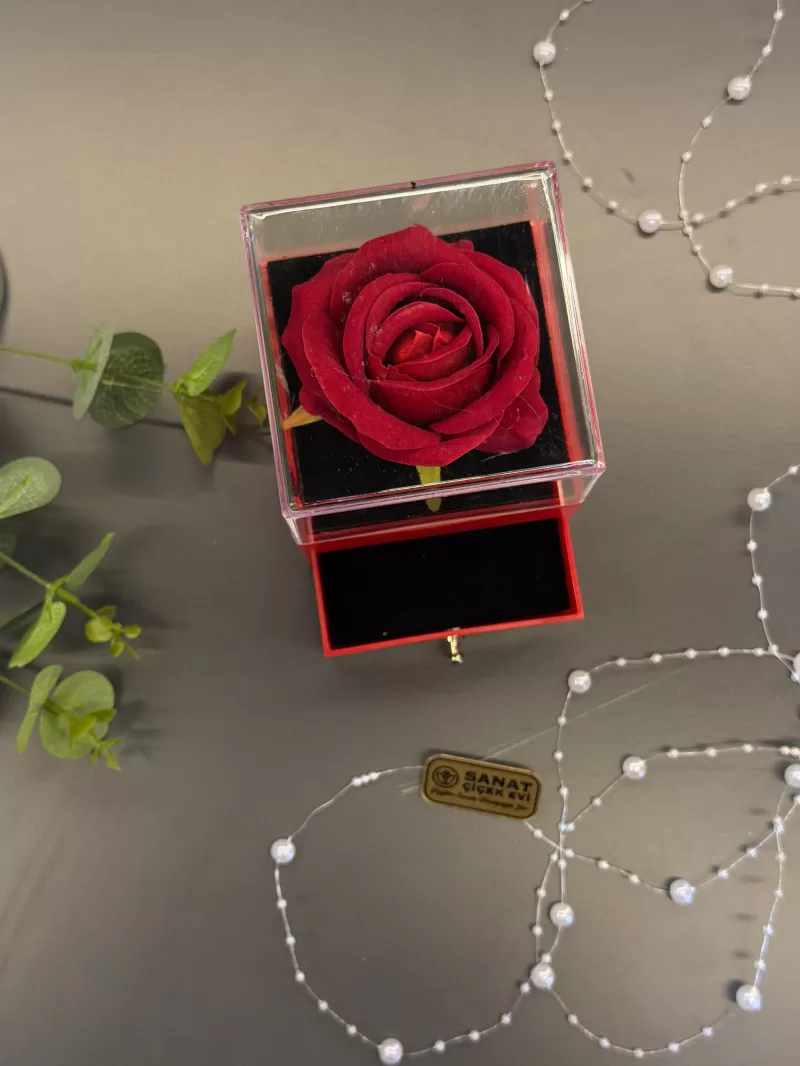 Özel Çekmeceli Kutusunda Kırmızı Kadife Gül