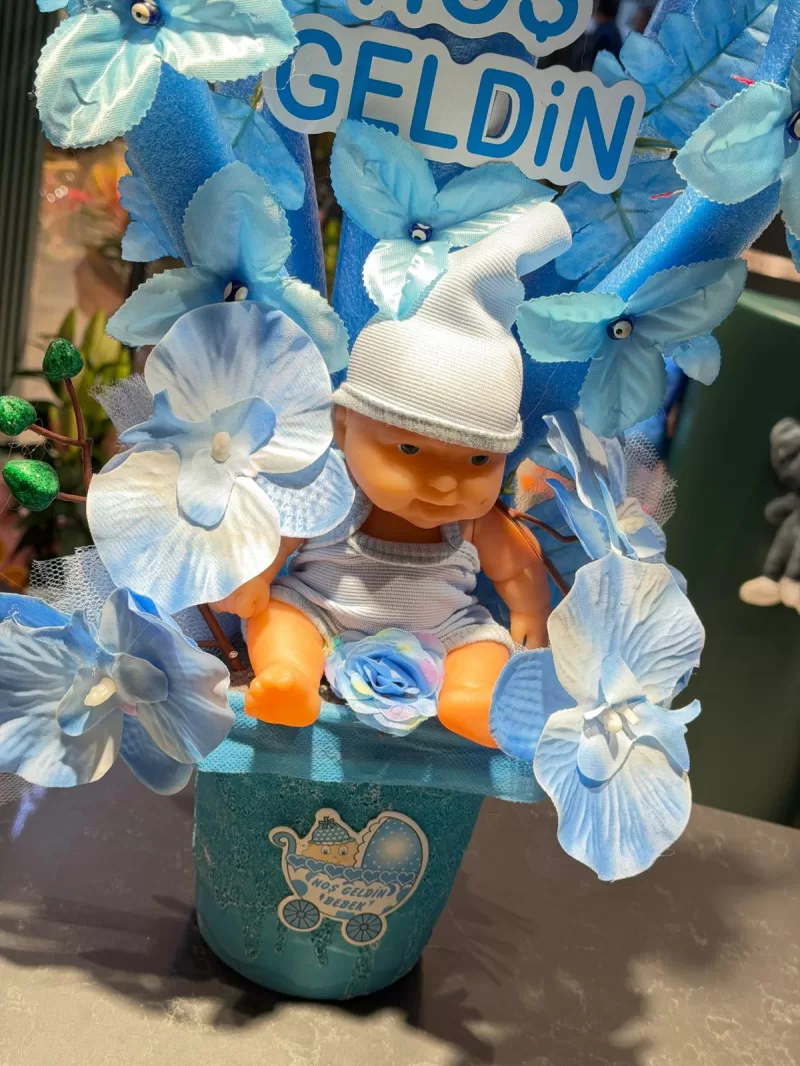 Hoş Geldin Erkek Bebek 