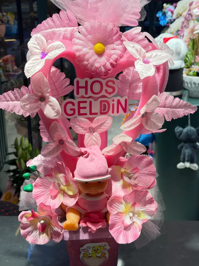 Hoş Geldin Kız Bebek 