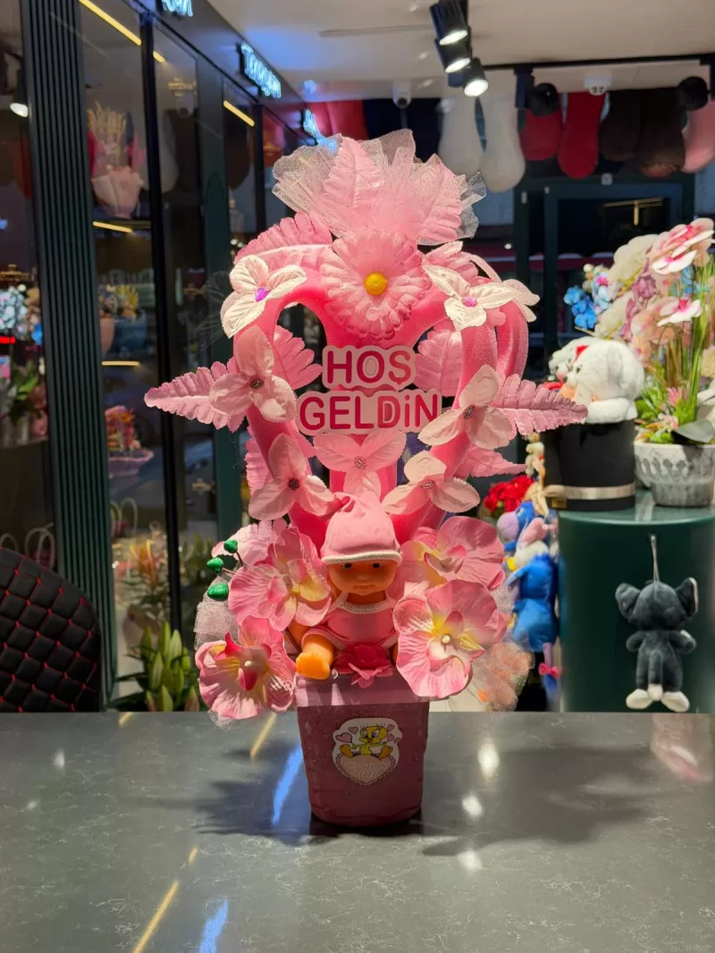 Hoş Geldin Kız Bebek 
