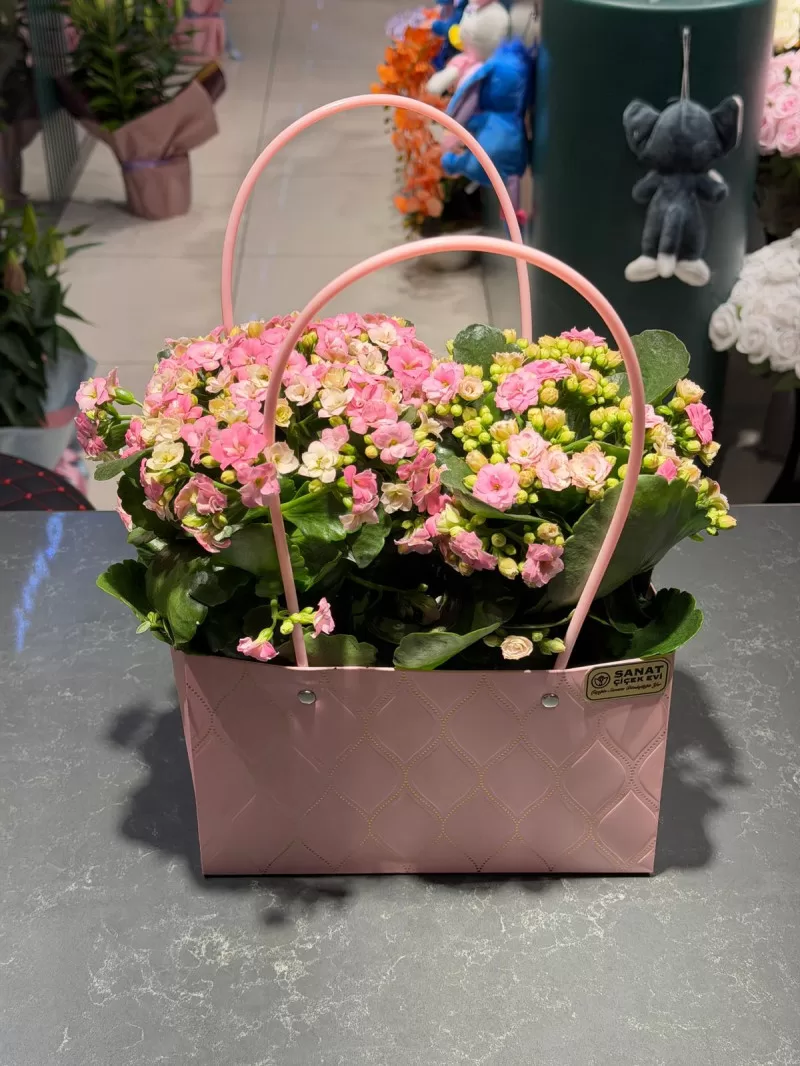 Özel Çantasında Pembe Kalanchoe