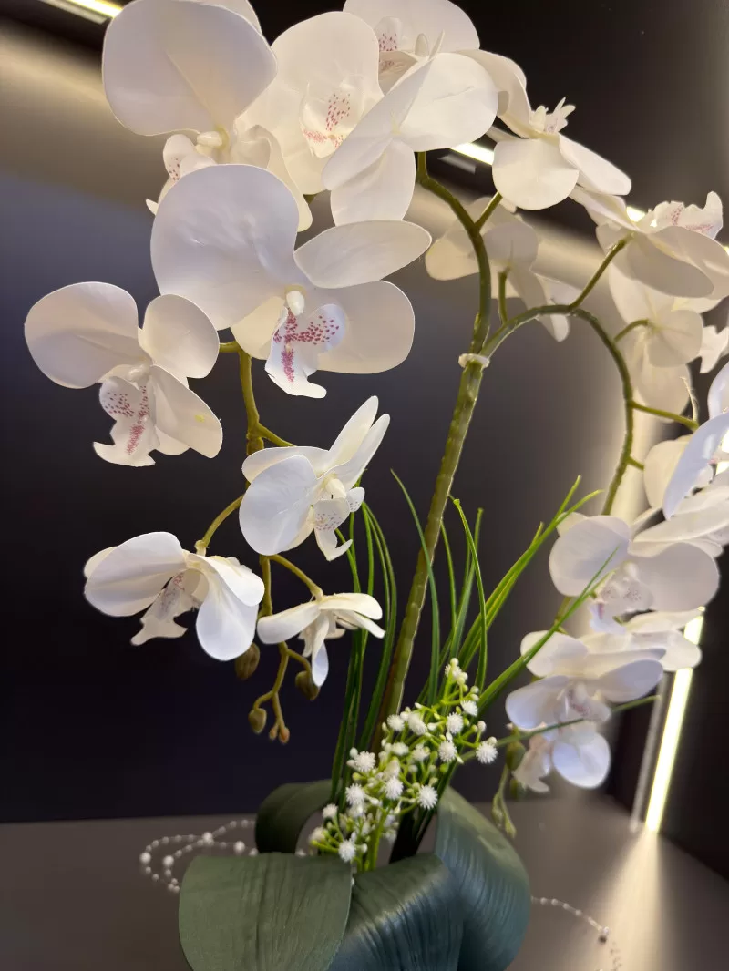 Gold Vazoda Islak Çift Dal Orkide
